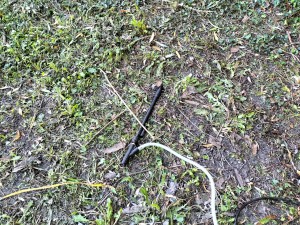 Photo IMG20231001152901.jpg