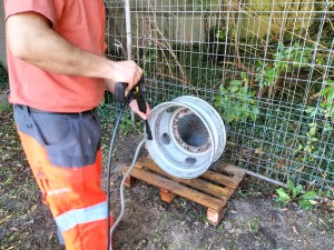 Photo IMG20231001153119.jpg