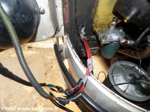Photo 20220422120908-82c4d692.jpg